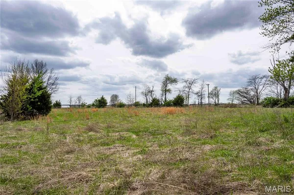 $1 | 21061 Pike 307, Bowling Green, MO 63334