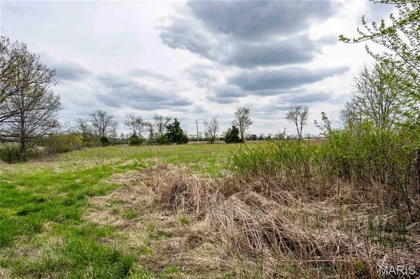 $1 | 21061 Pike 307, Bowling Green, MO 63334