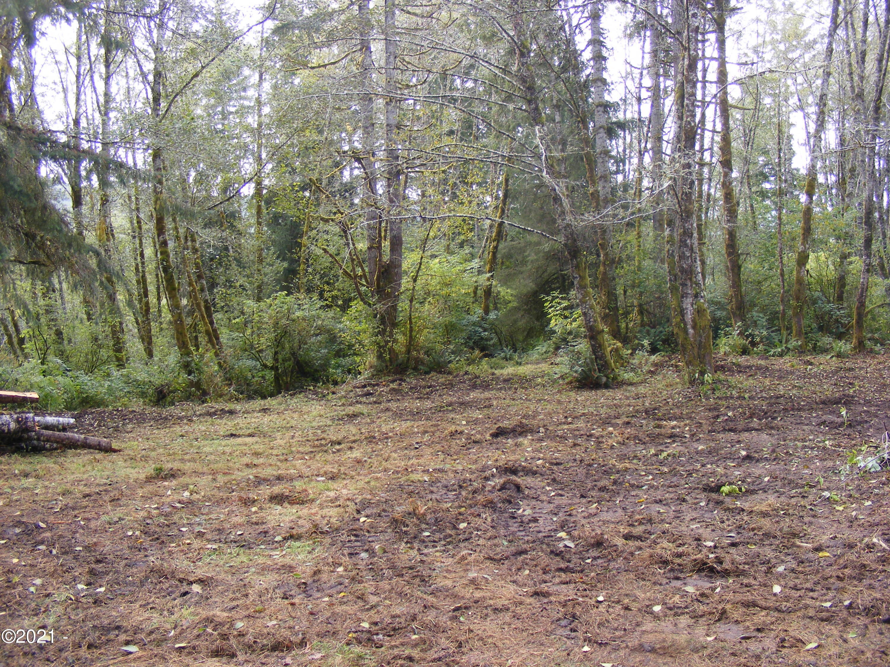 2700 Logsden Road Siletz, OR 97380 - Photo 6 of 7 006