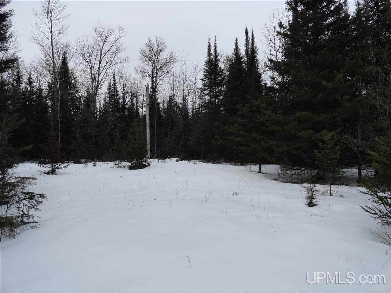 416 (23rd Road Gladstone, MI 49837 - Photo 29 of 36