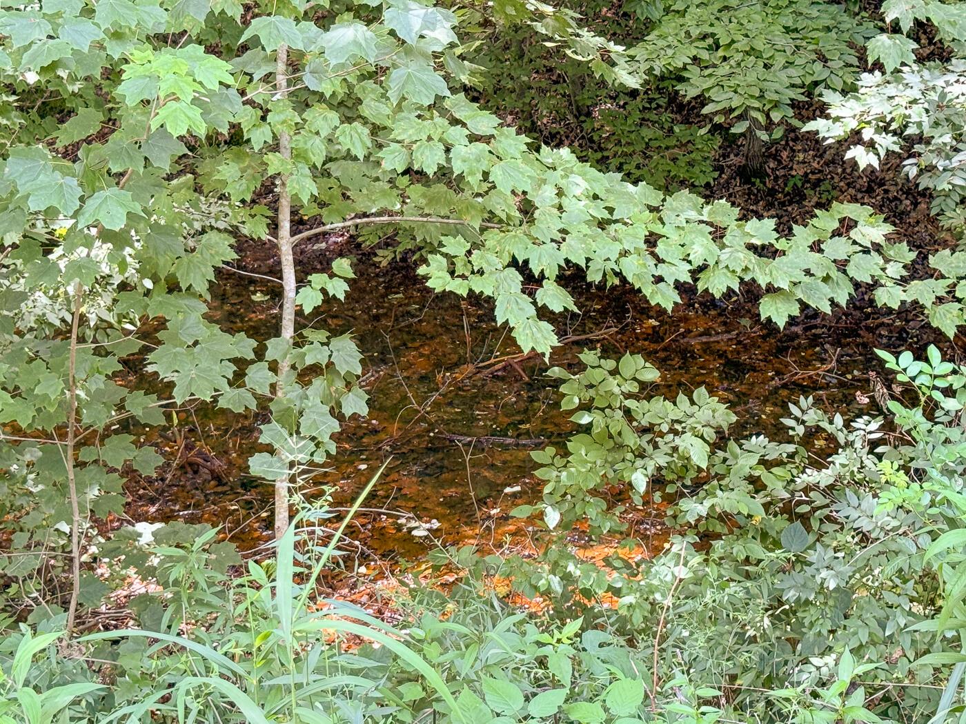 4313 Flint Ridge Road Northeast, Unit INT RIDGE TRACT 18 ACRE) Crooksville, OH 43731 - Photo 5 of 53 CT-4