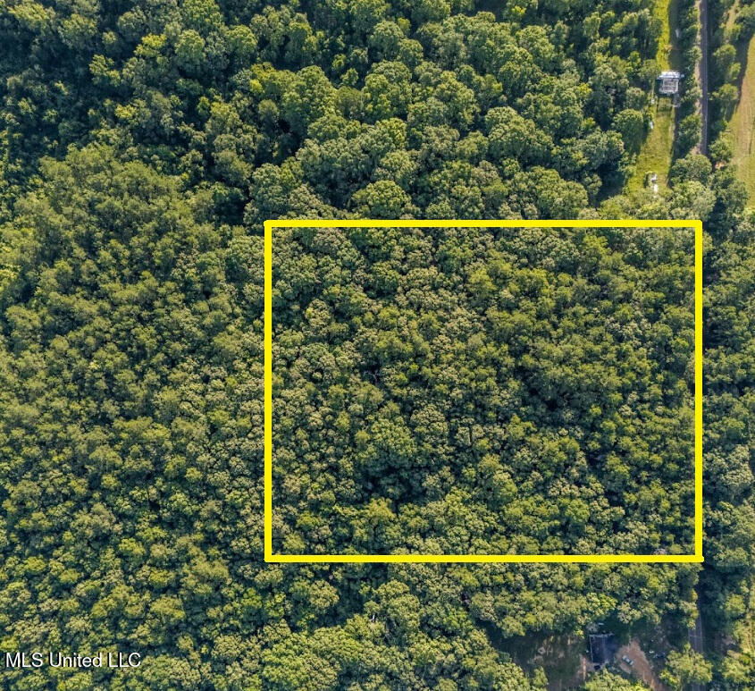 1510 Sulphur Springs Road Camden, MS 39045 - Photo 2 of 9 01