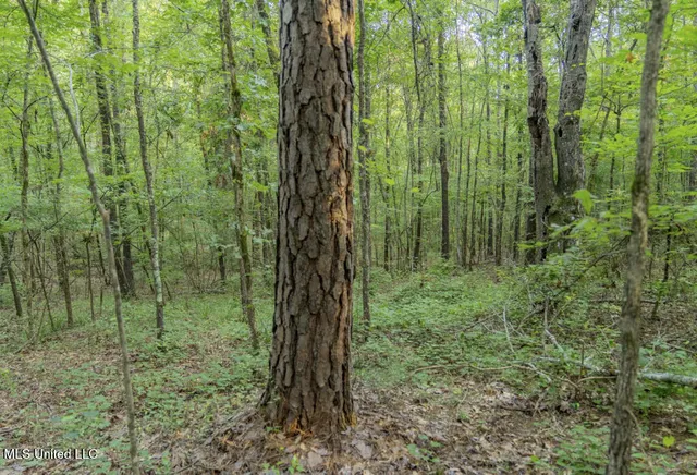 $23,900 | 1510 Sulphur Springs Road, Camden, MS 39045