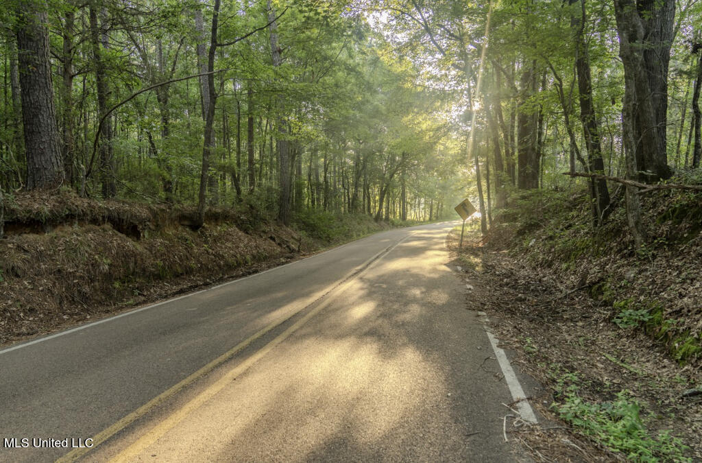 1510 Sulphur Springs Road Camden, MS 39045 - Photo 5 of 9 04
