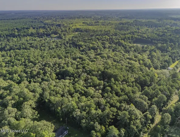 $23,900 | 1510 Sulphur Springs Road, Camden, MS 39045