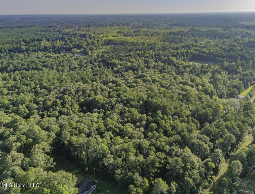 1510 Sulphur Springs Road Camden, MS 39045 - Photo 6 of 9 05