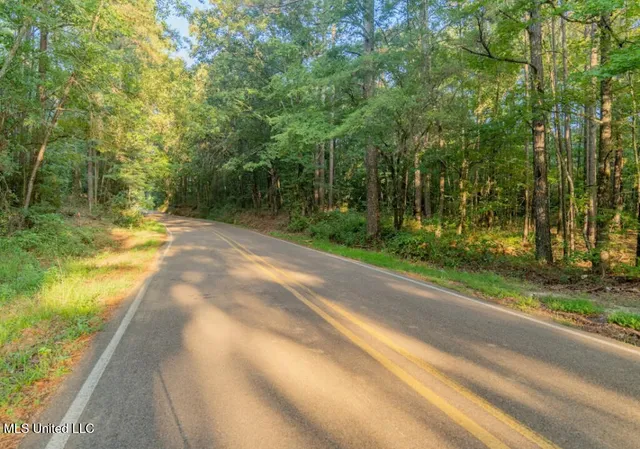 $23,900 | 1510 Sulphur Springs Road, Camden, MS 39045