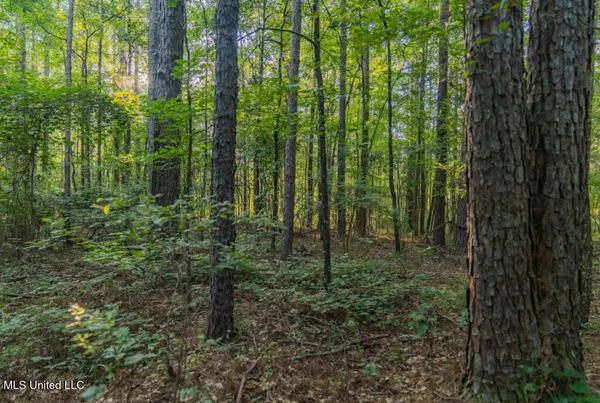 $23,900 | 1510 Sulphur Springs Road, Camden, MS 39045