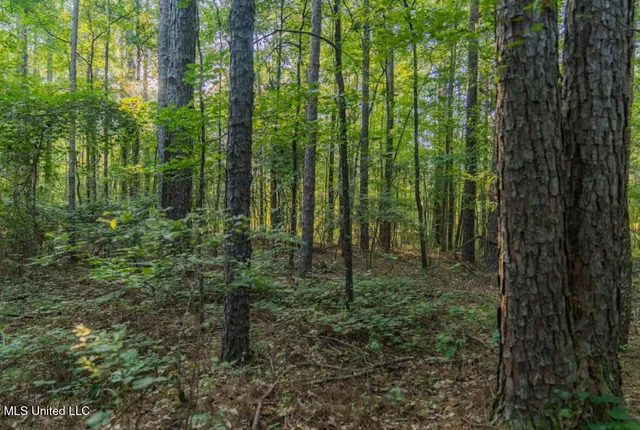 $23,900 | 1510 Sulphur Springs Road, Camden, MS 39045