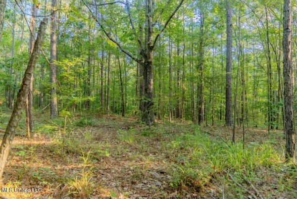 $23,900 | 1510 Sulphur Springs Road, Camden, MS 39045