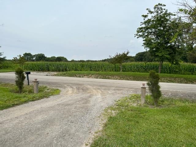Corn field across road