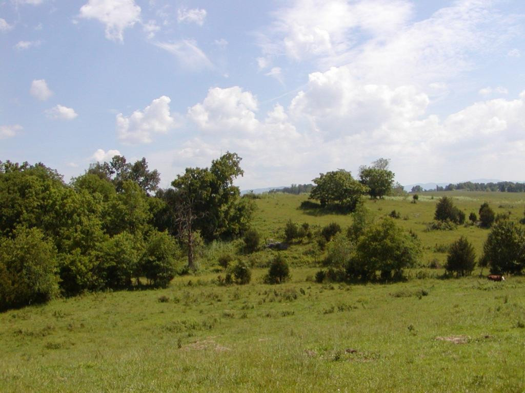 Lot 10 Bacon Branch Road Jonesborough, TN 37659 - Photo 1 of 6 Photo 1