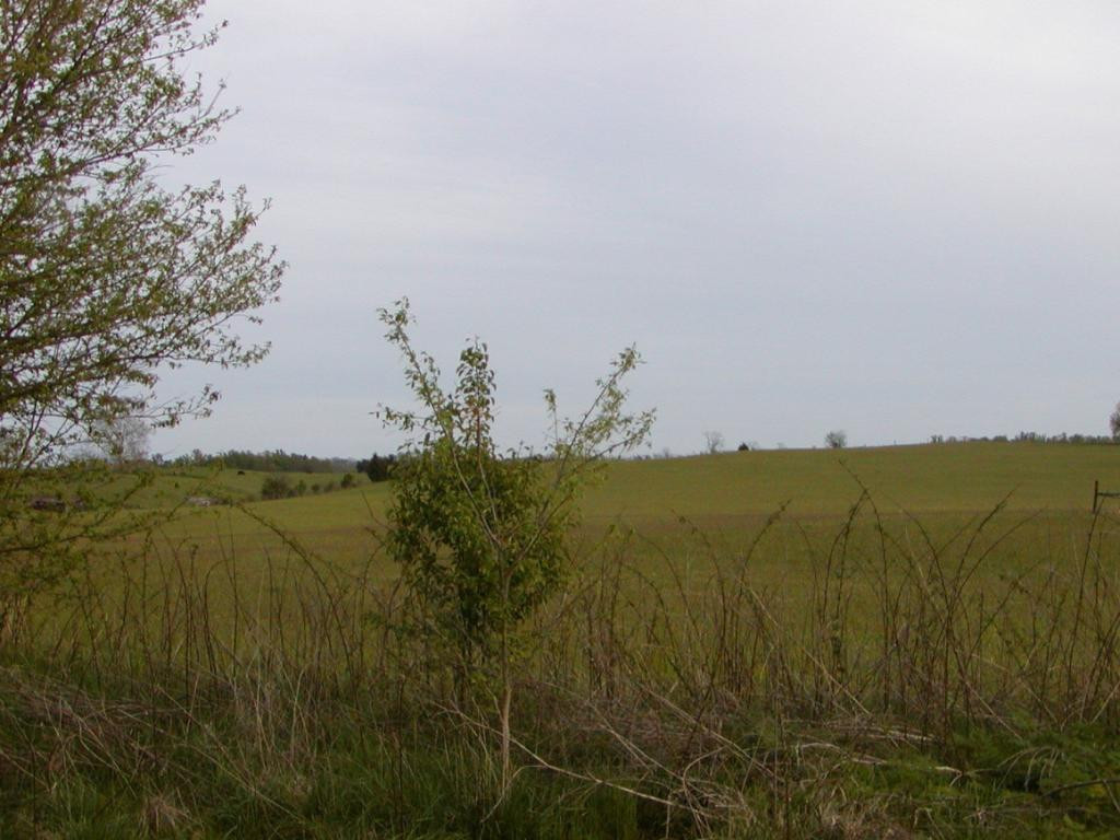 Lot 10 Bacon Branch Road Jonesborough, TN 37659 - Photo 2 of 6 Photo 2