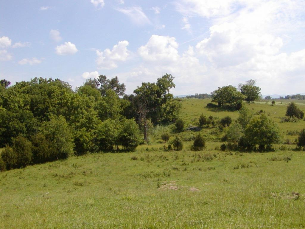 Lot 10 Bacon Branch Road Jonesborough, TN 37659 - Photo 3 of 6 Photo 3