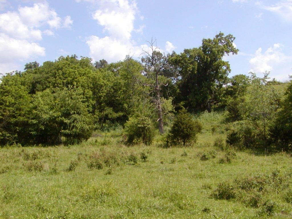 Lot 10 Bacon Branch Road Jonesborough, TN 37659 - Photo 4 of 6 Photo 4