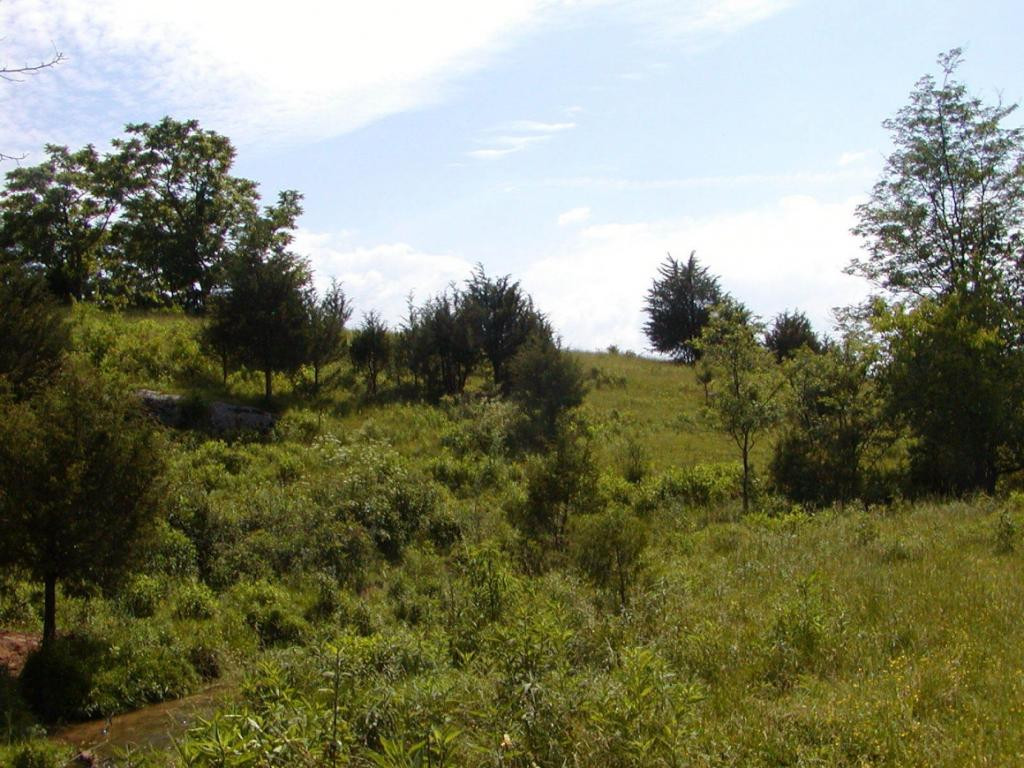 Lot 10 Bacon Branch Road Jonesborough, TN 37659 - Photo 5 of 6 Photo 5