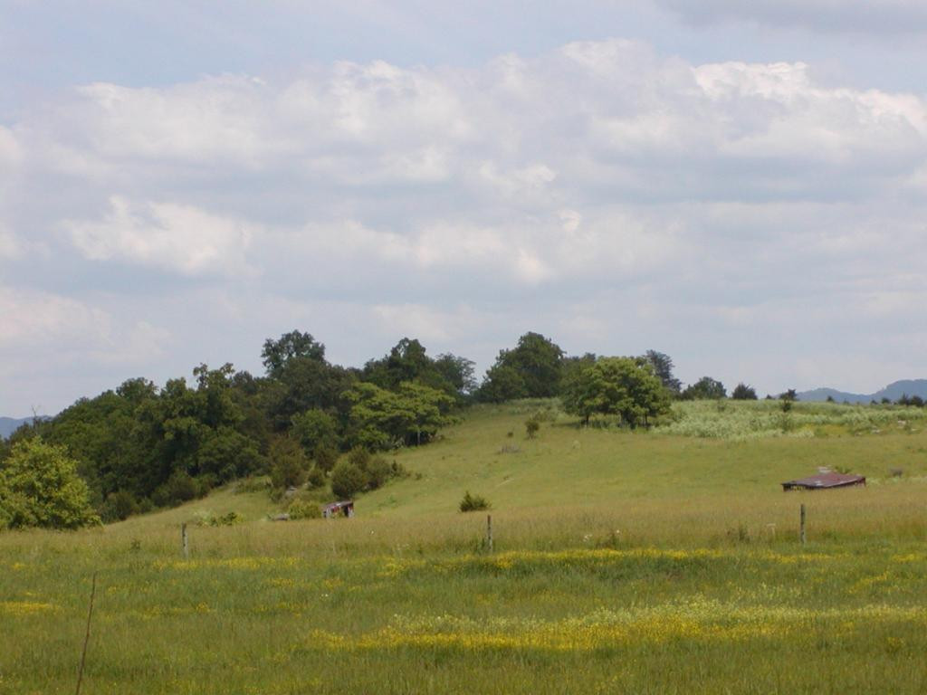Lot 10 Bacon Branch Road Jonesborough, TN 37659 - Photo 6 of 6 Photo 6
