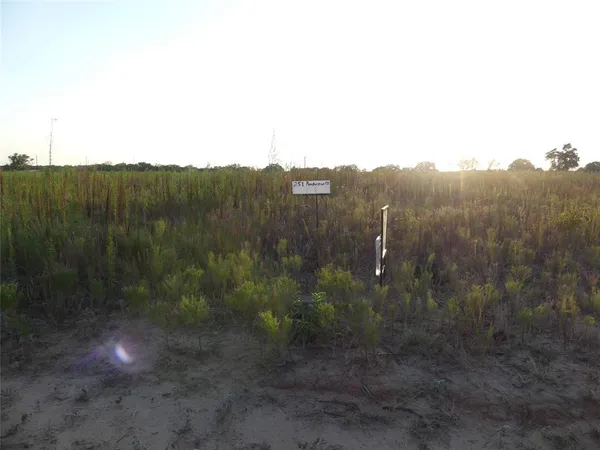 a view of a yard with a sink