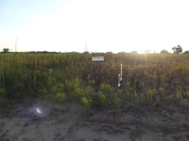 a view of a yard with a sink