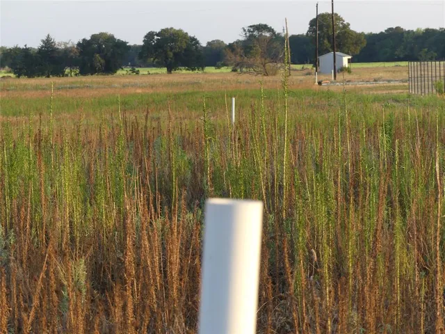 a view of an ocean from a balcony