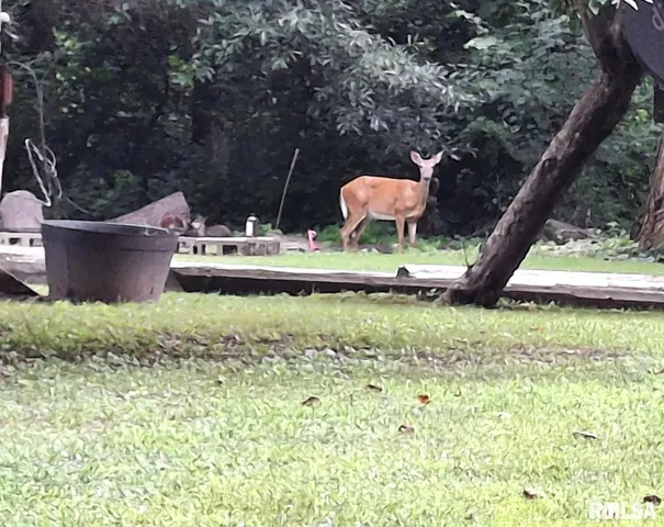 $170,000 | 26113 North Lakeland Road, Canton, IL 61520