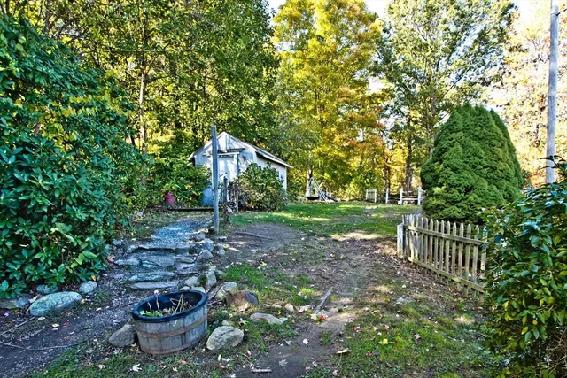 a view of a garden with plants and large trees