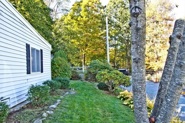 a view of a garden with plants