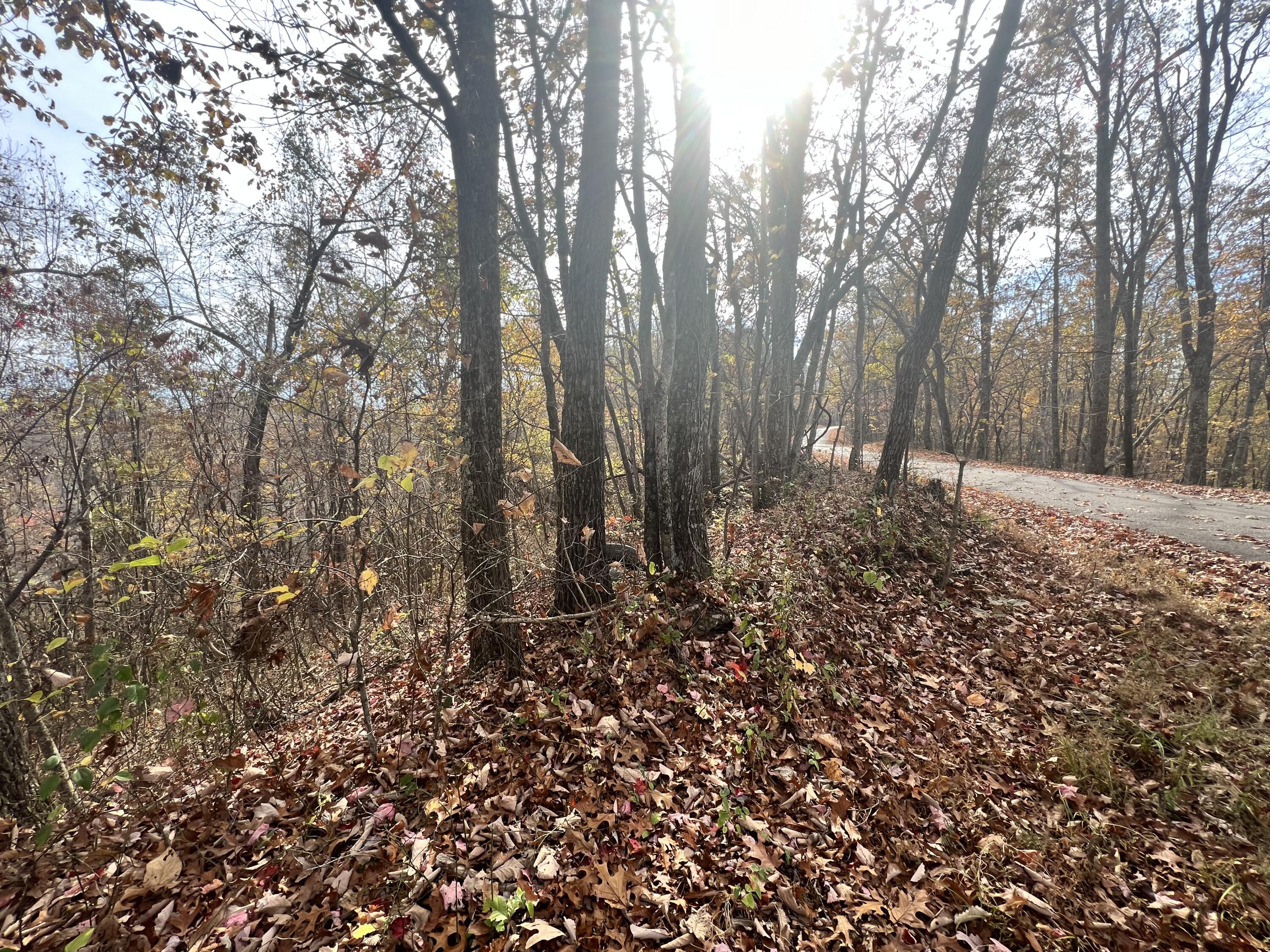 9999 Bar Creek Road Oneida, KY 40972 - Photo 13 of 15 82EA83D4-3098-49ED-BE18-CE2E4CED5A9E