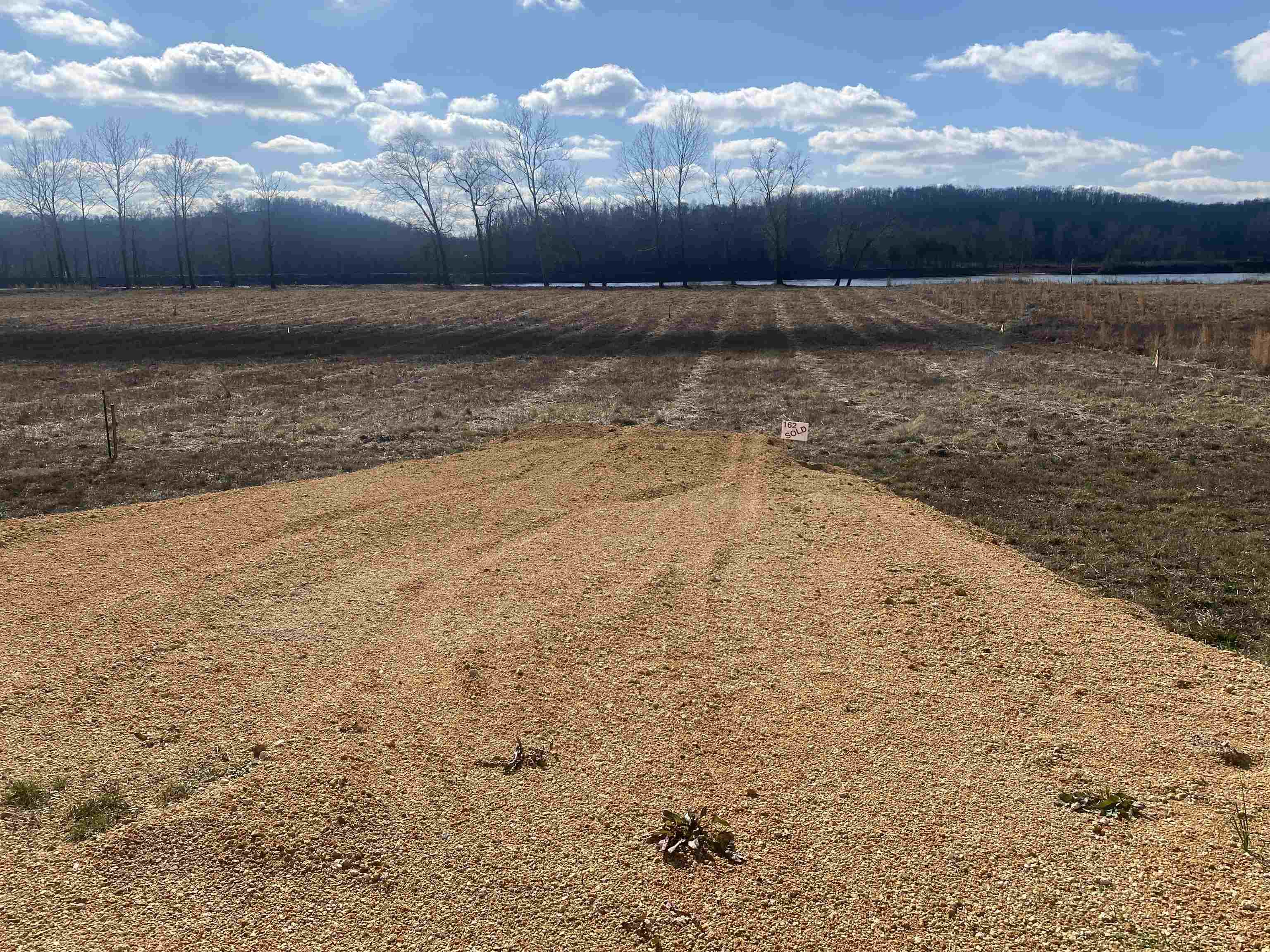 0 Hardin Bottom River Road Clifton, TN 38425 - Photo 4 of 14 a view of a lake