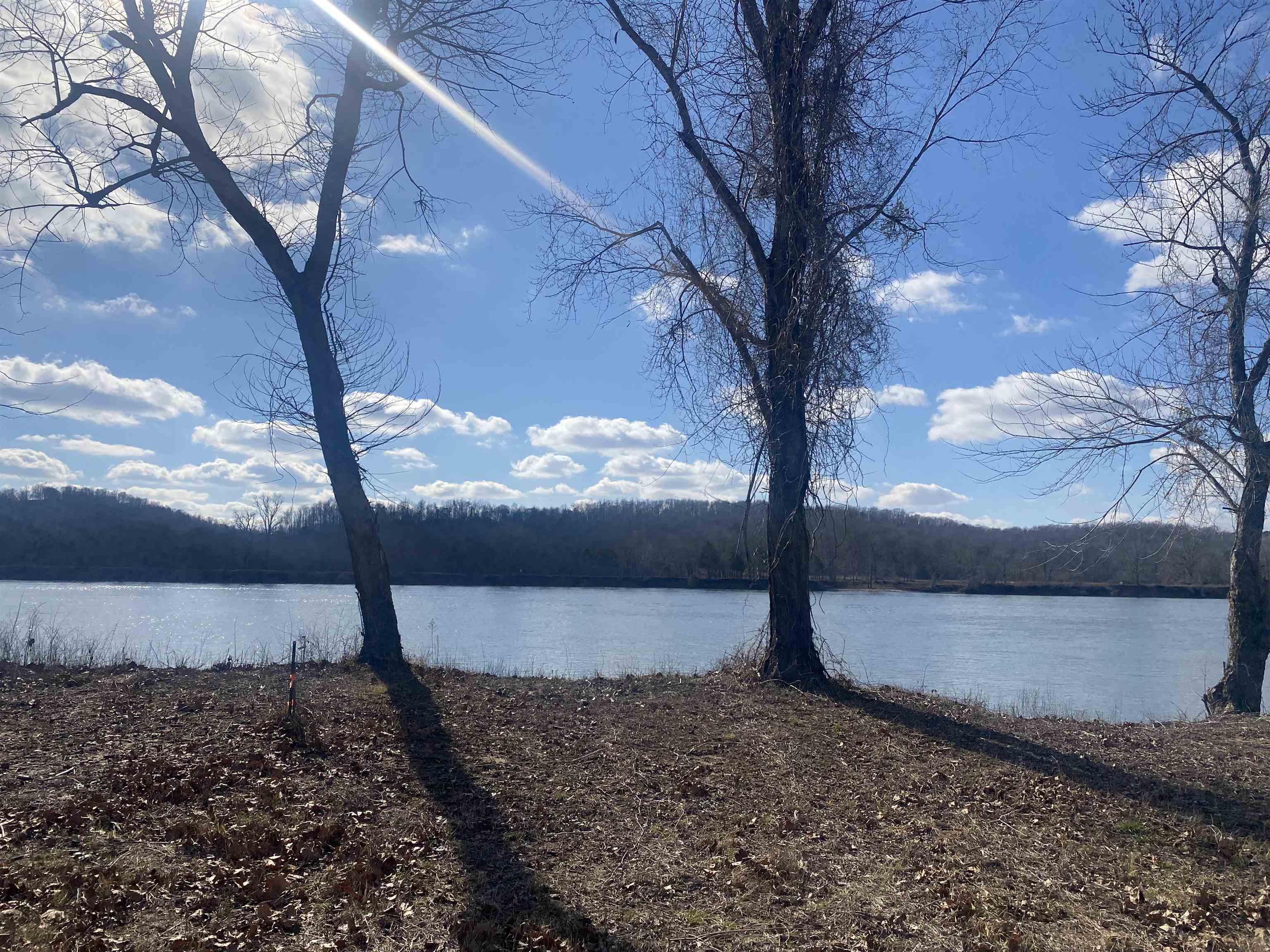 0 Hardin Bottom River Road Clifton, TN 38425 - Photo 6 of 14 a view of a yard with a tree