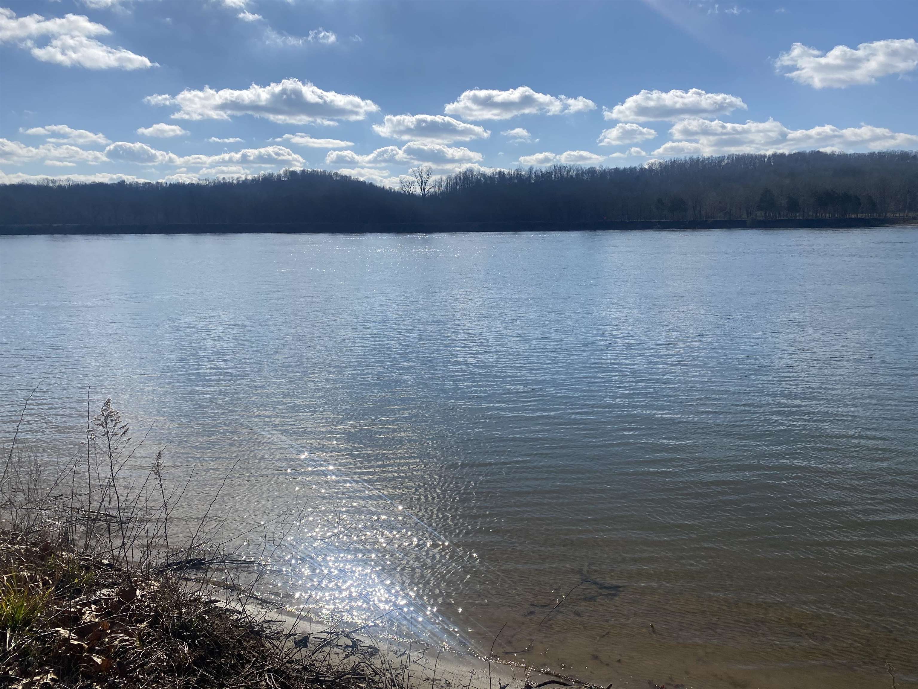 0 Hardin Bottom River Road Clifton, TN 38425 - Photo 7 of 14 a view of lake view
