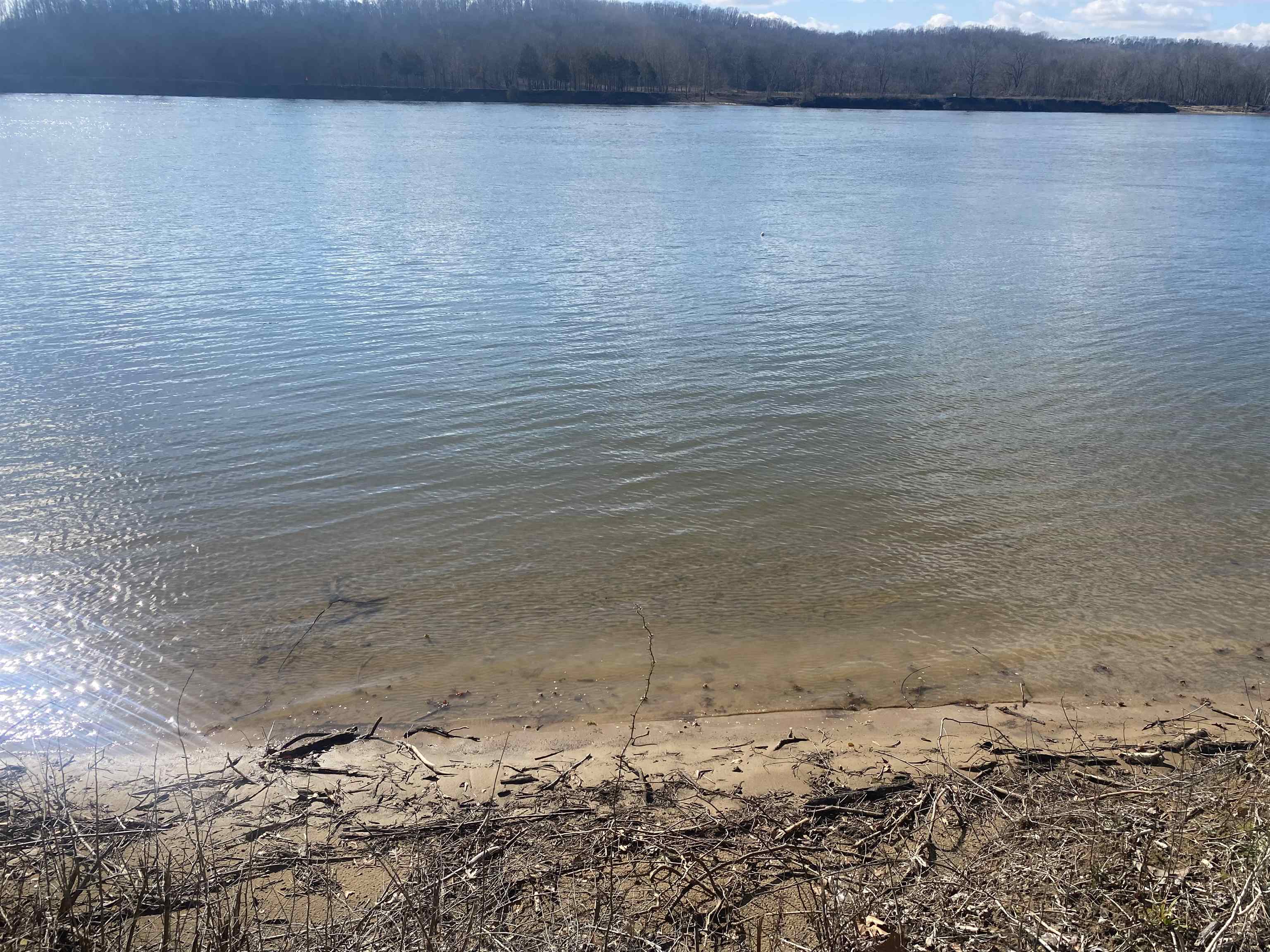 0 Hardin Bottom River Road Clifton, TN 38425 - Photo 8 of 14