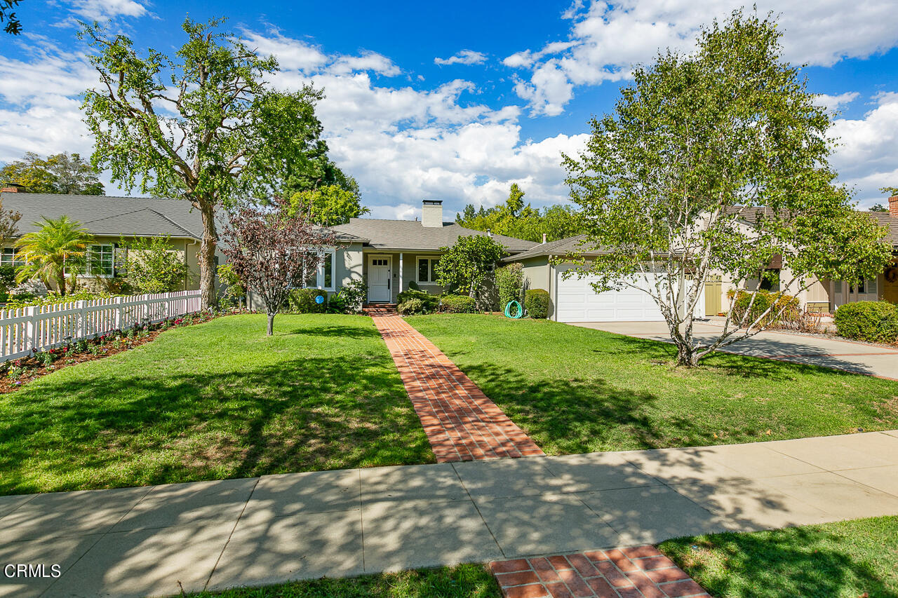 a view of a yard with plants and a fountain