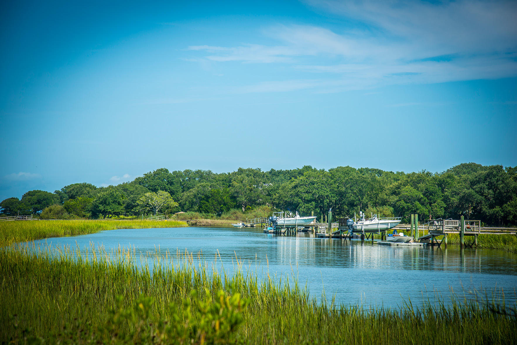 1208 Pressley Road Charleston, SC 29412 - Photo 4 of 7 Seaside Creek