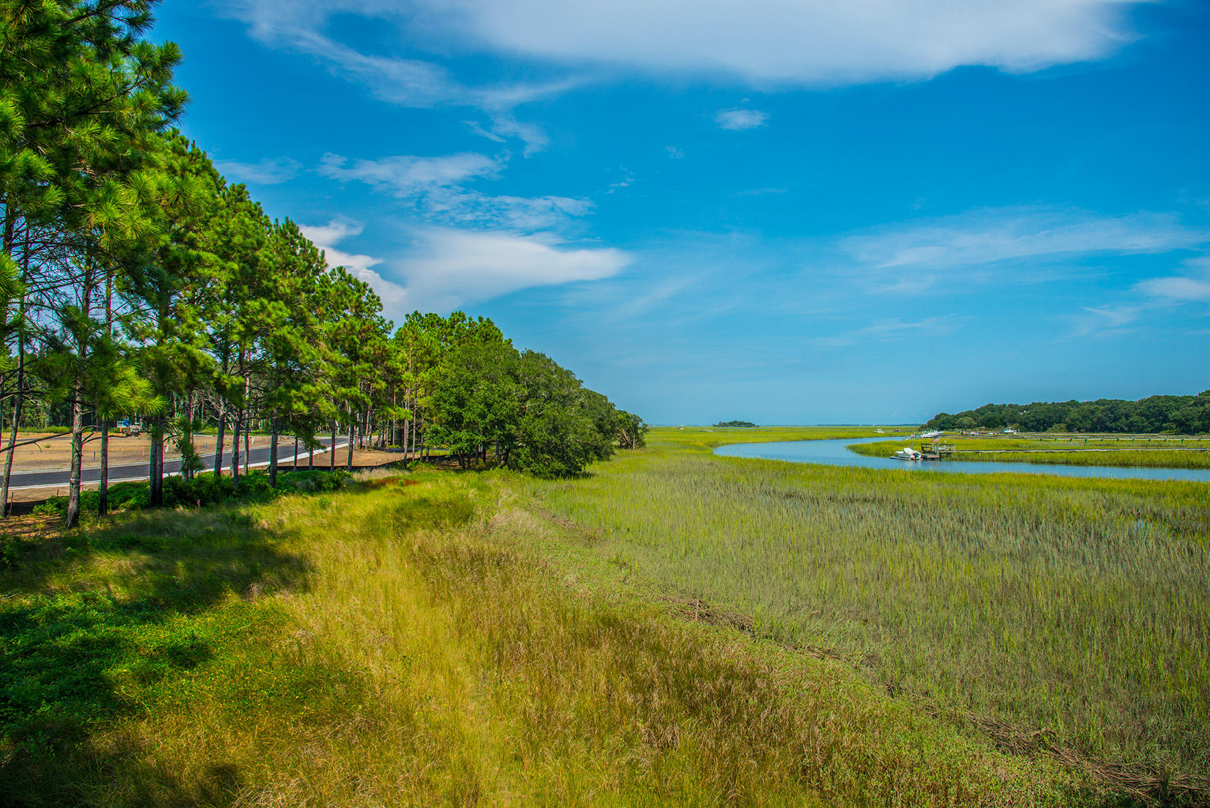 1208 Pressley Road Charleston, SC 29412 - Photo 6 of 7 Seaside Creek
