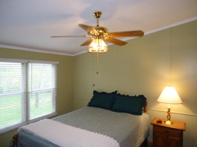 165 Minnie Brown Road Ardmore, TN 38449 - Photo 12 of 20 Master Bedroom