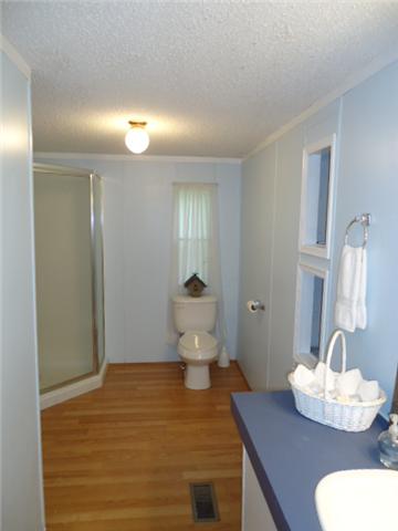 165 Minnie Brown Road Ardmore, TN 38449 - Photo 13 of 20 Master Bath