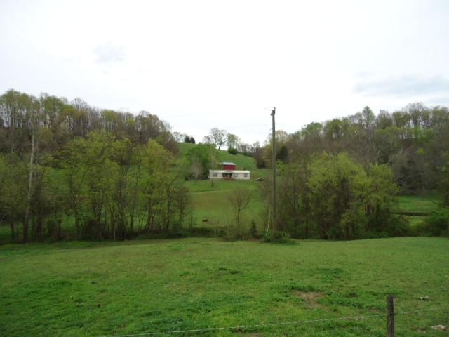 165 Minnie Brown Road Ardmore, TN 38449 - Photo 2 of 20 View from the Road