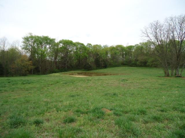 165 Minnie Brown Road Ardmore, TN 38449 - Photo 4 of 20 Pond