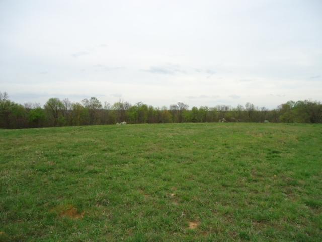 165 Minnie Brown Road Ardmore, TN 38449 - Photo 5 of 20 Pasture