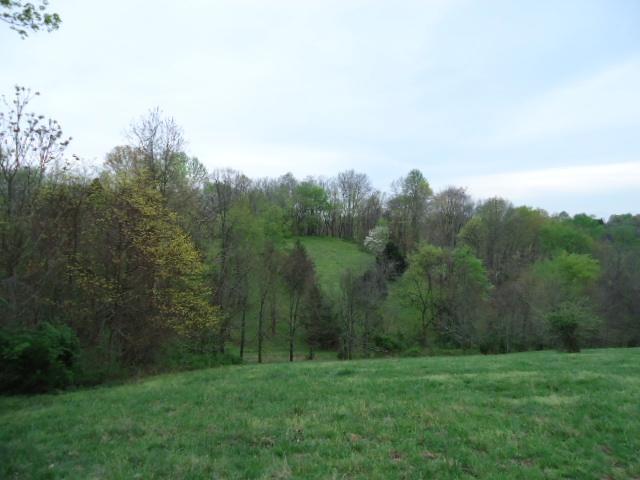 165 Minnie Brown Road Ardmore, TN 38449 - Photo 6 of 20 Woods