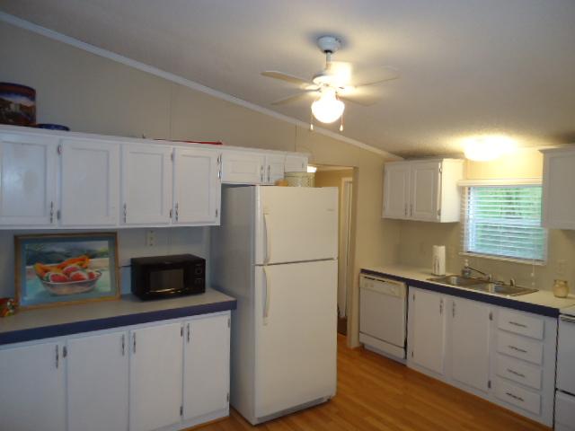165 Minnie Brown Road Ardmore, TN 38449 - Photo 8 of 20 Kitchen