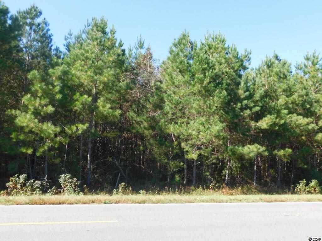 10.69 Red Bluff Road Loris, SC 29569 - Photo 1 of 5 Gallery Image 1