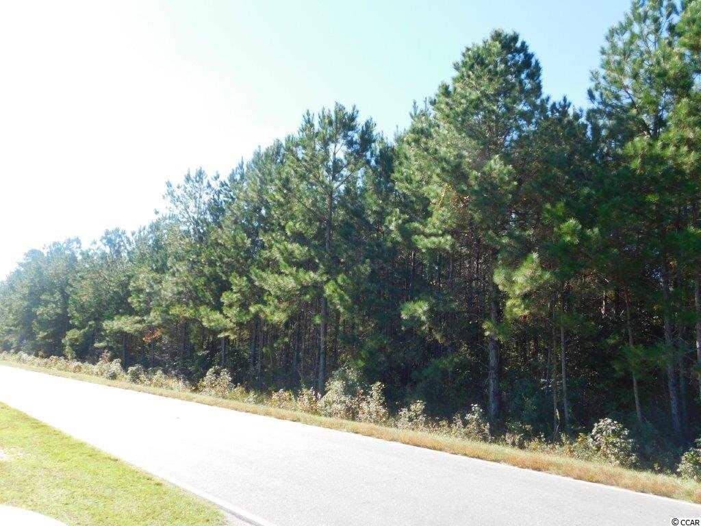 10.69 Red Bluff Road Loris, SC 29569 - Photo 2 of 5 Gallery Image 2