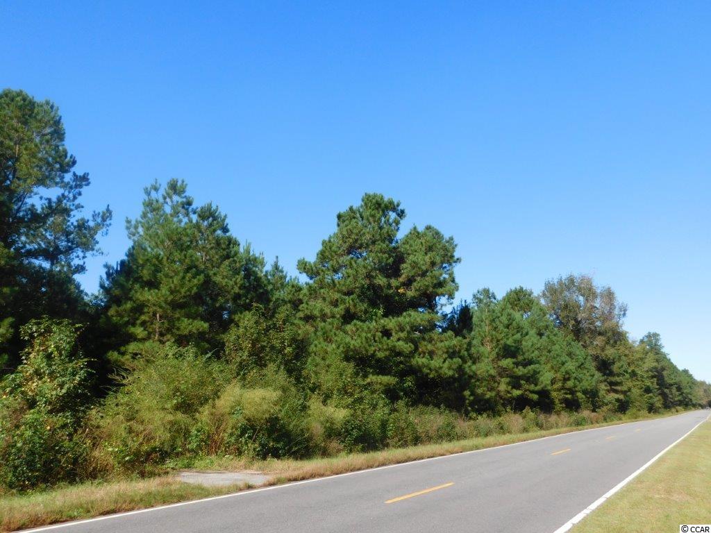 10.69 Red Bluff Road Loris, SC 29569 - Photo 3 of 5 Gallery Image 3