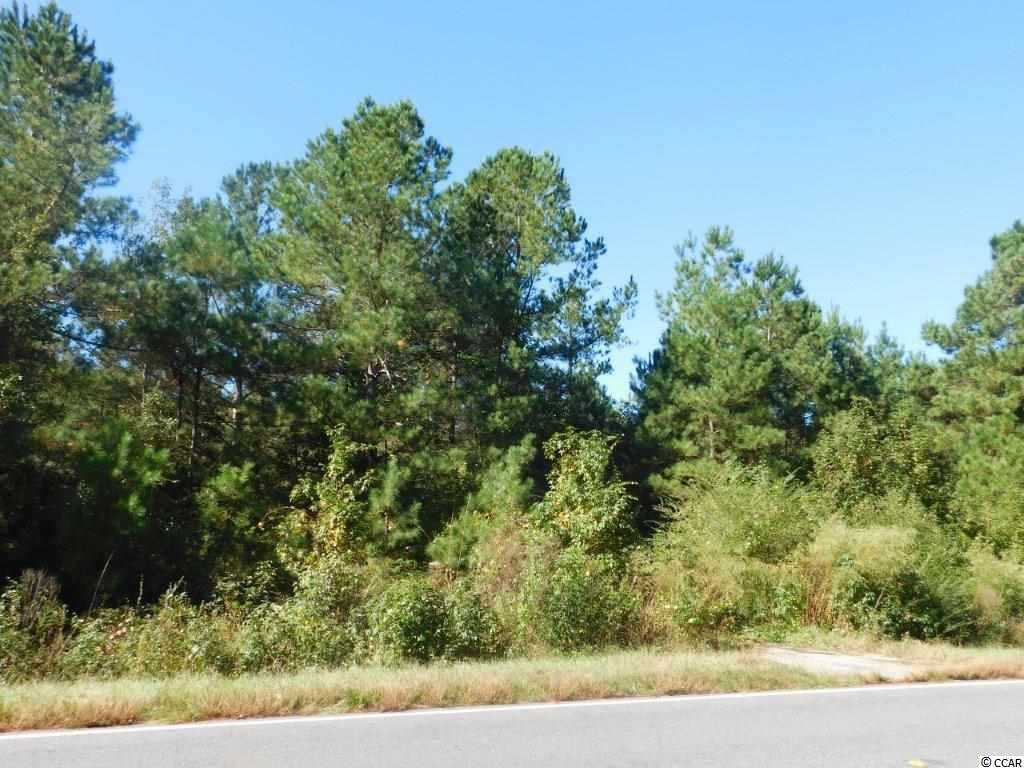10.69 Red Bluff Road Loris, SC 29569 - Photo 4 of 5 Gallery Image 4