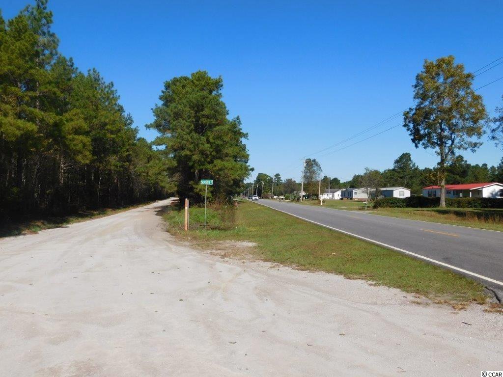 10.69 Red Bluff Road Loris, SC 29569 - Photo 5 of 5 Gallery Image 5