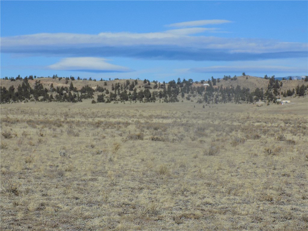 4189 Larimer Road Hartsel, CO 80449 - Photo 2 of 6 Gallery Image 2