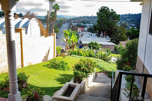 a view of a backyard with plants