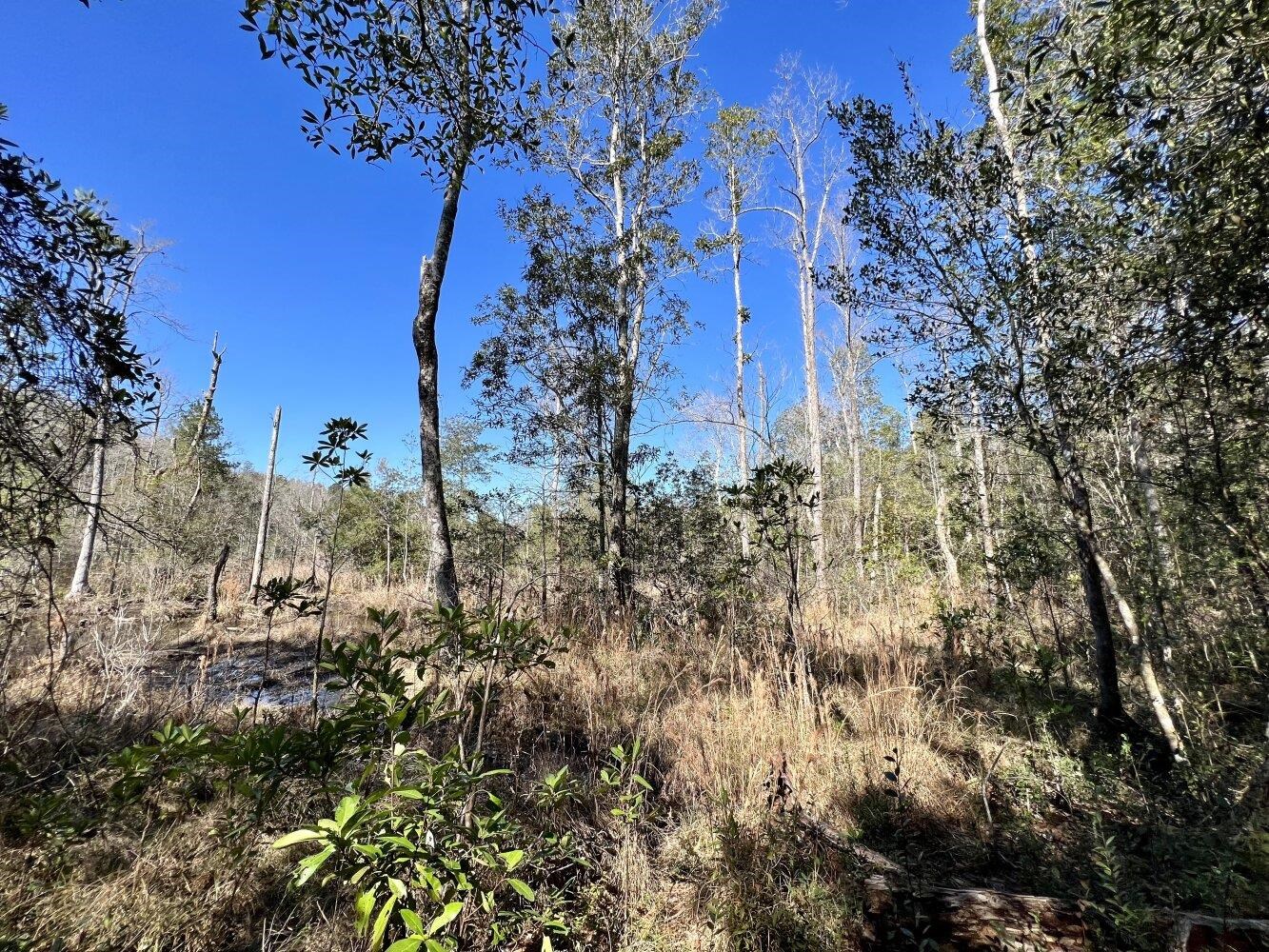 0 Dixon Road Bay Minette, AL 36507 - Photo 33 of 50
